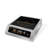 Induction Plate Cookers