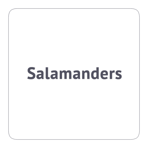 Salamanders