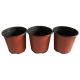 50 Round Plastic Thermoformed Nursery Garden Plants Double Colour Pot 160X140mm