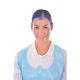 Hair Net(Pack of 50) A291