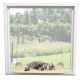 50X Brand New Sunny Seat Window Mounted Suspended Cat Seat Bed