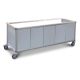 Roband Food Bar And Bain Marie Trolley, 6 Pans Size ET23