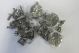 New Glass Clips For Pizza Prep Fridge Saladette Bain Marie