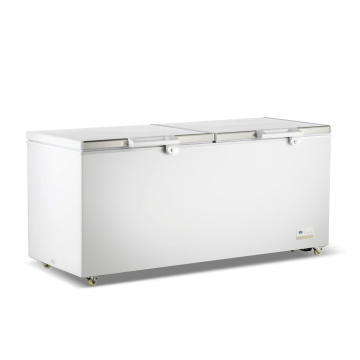Thermaster Commercial 750L Chest Freezer with Stainless Steel Lid - BD750F