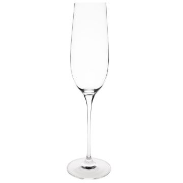 Olympia Claro One Piece Crystal Champagne Flute 260ml (Pack of 6) CS496