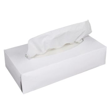 Fiesta (Pack of 48) Box of Tissues GP757