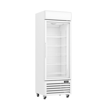 Thermaster Commercial Upright Single Glass Door Freezer LG-400PF