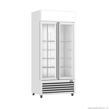 Thermaster Double Glass Door Colourbond Upright Drink Fridge - LG-580P